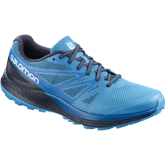 Salomon SENSE ESE Zapatillas Trail Running Hombre - Azules / Azul Marino - Colombia (82930-WLUE)